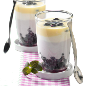 Joghurt - € 2,-- Vanille o. Frucht € 1,50 Natur/Becher